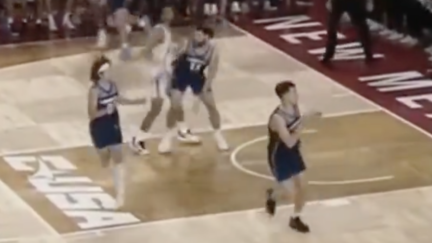 New Mexico State forward Robert Carpenter punched Liberty forward Shiloh Robinson